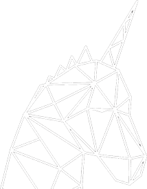 Startup tech unicorn